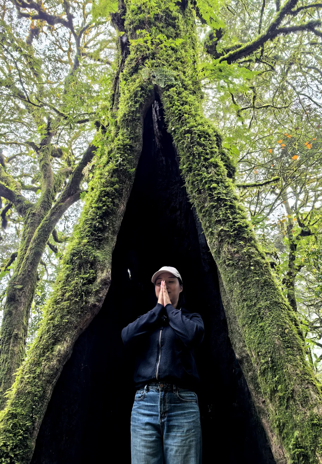 1761376078573468.png bad3ae1df95ddec1c8e641ca4db38dd8.png