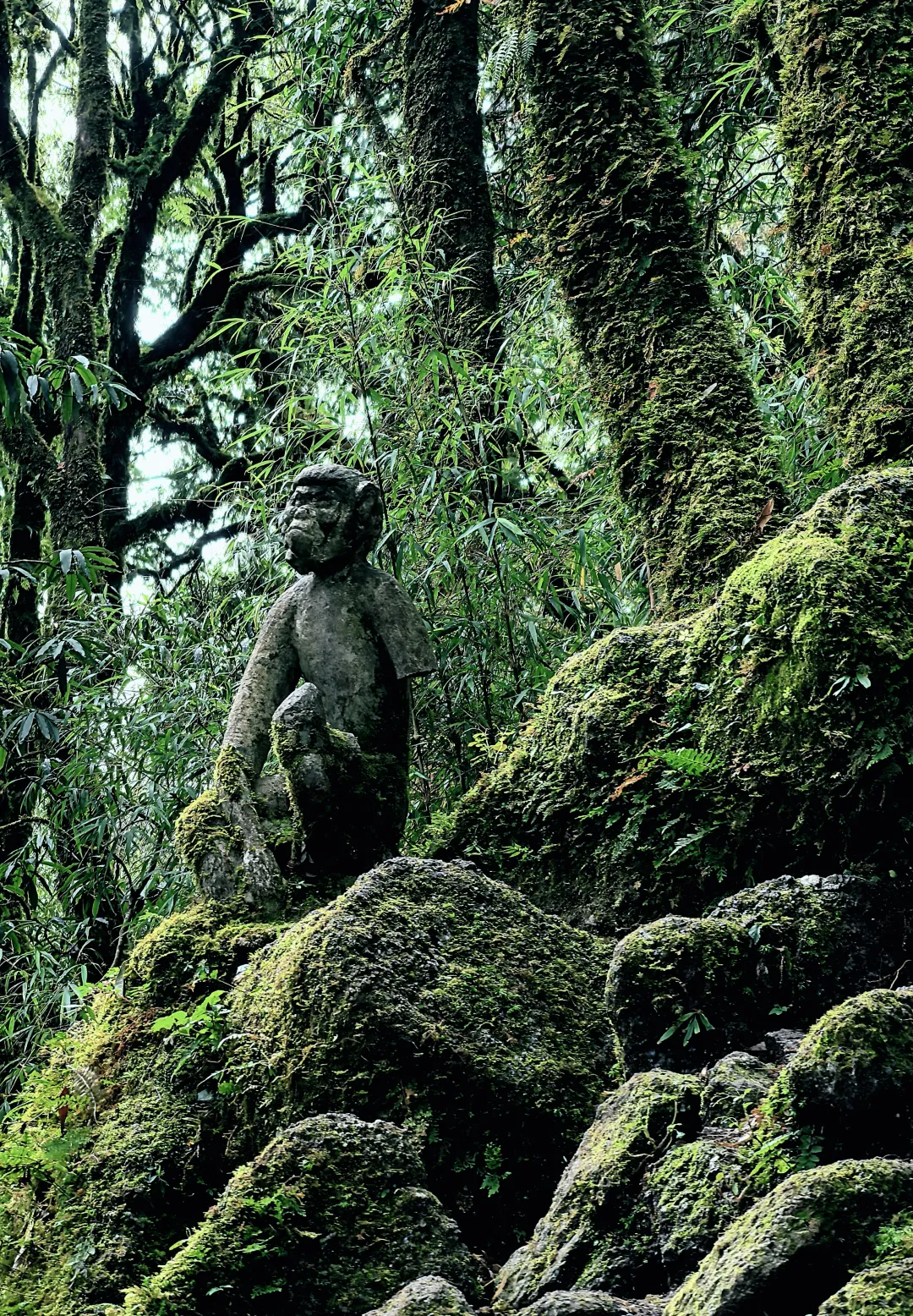 1761376087595888.png 02abc9a870e1cbd566b041d094848124.png