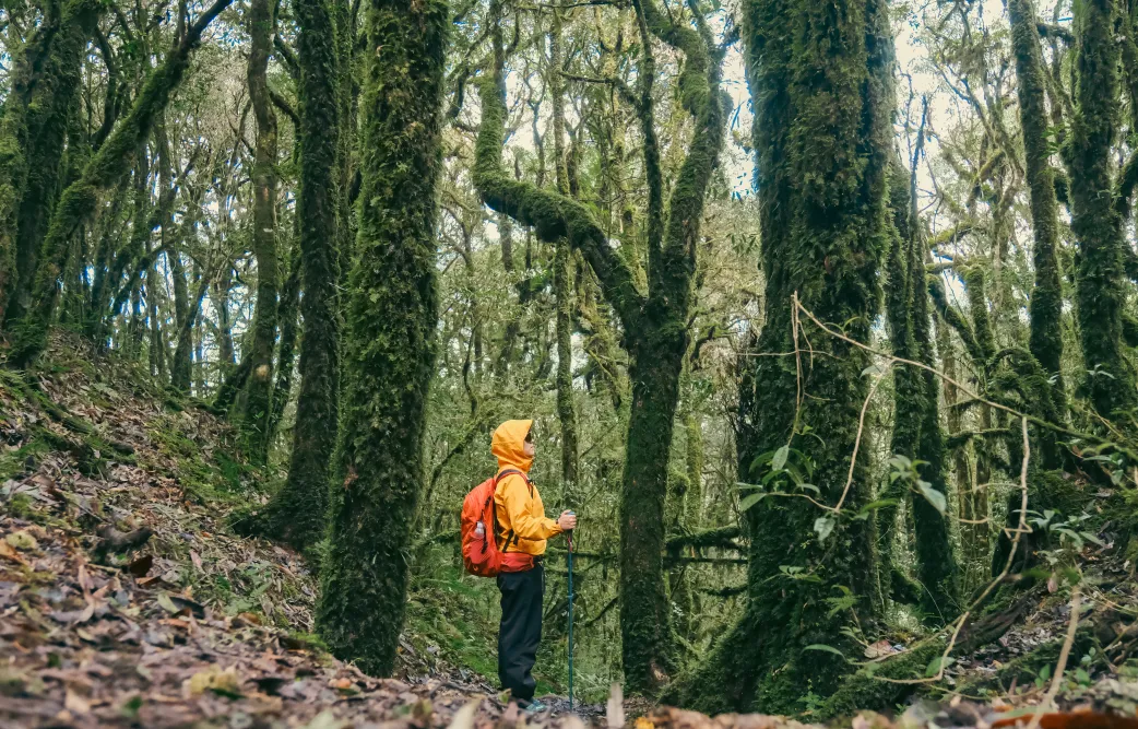 1761376091602106.png 26916a378b4a58e86f94be0d4b4d68fb.png