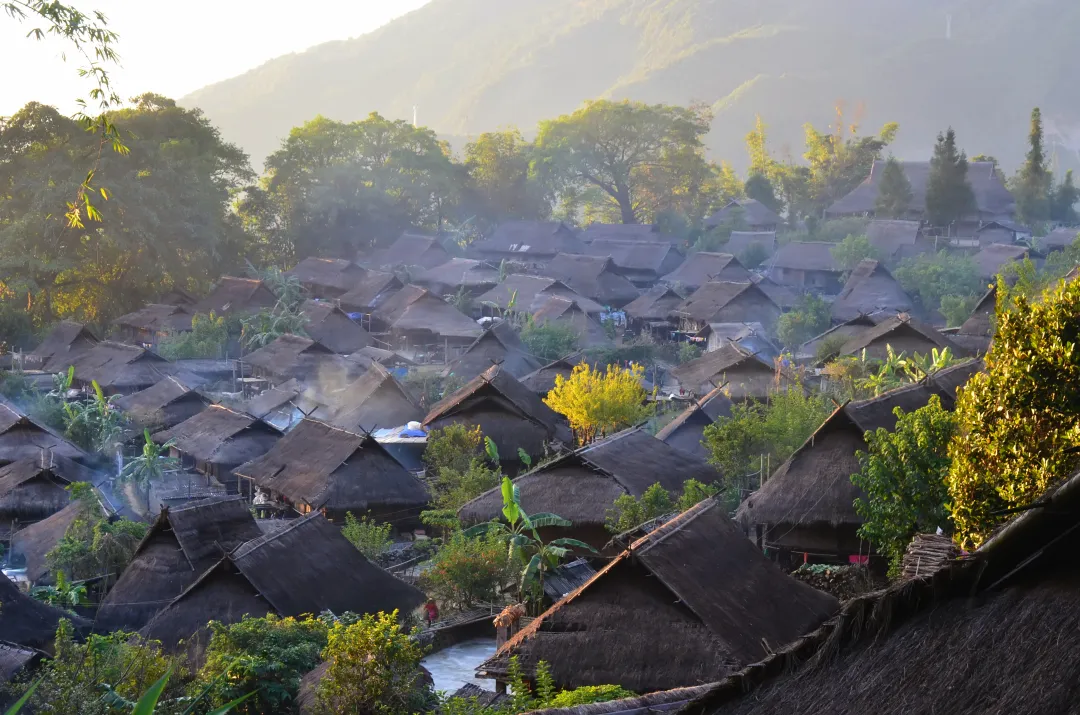 1761376244543676.png 116522dc2d3727980a19fe3405890d58.png