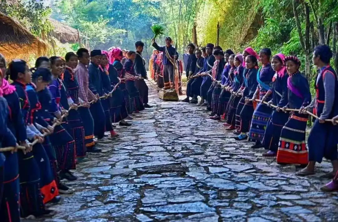 1761376251905189.png a7ab173dc0e1342addef67f142d328f3.png