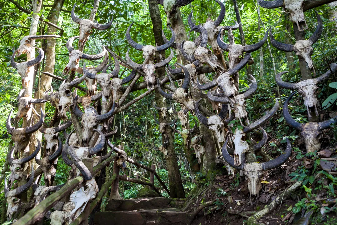 1761376290399617.png 63b4f9f56a8947483c0638ba37bb0919.png