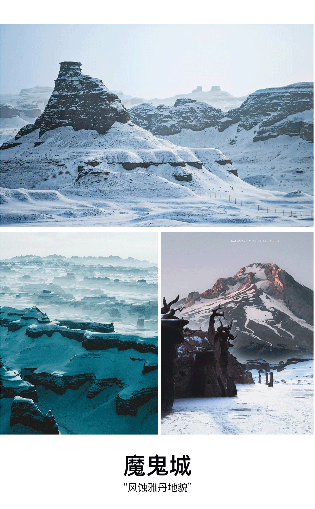 1761725078815419.png 033495fa-f7ff-4e2c-aa54-c99c4aba8408.png