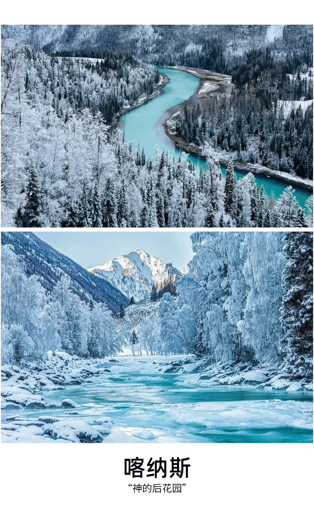 1761725086876842.png image.png