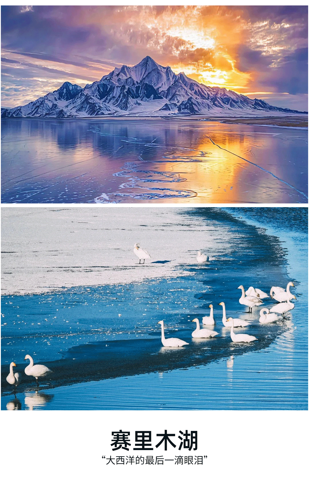 1761725110168880.png bb1e081b-8c1e-475c-a566-92ee3051f14d.png