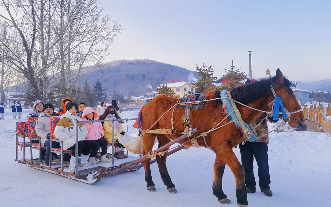 1761815354581425.png ce91d388-a3f1-4f9c-b0ff-ad231820592b.png