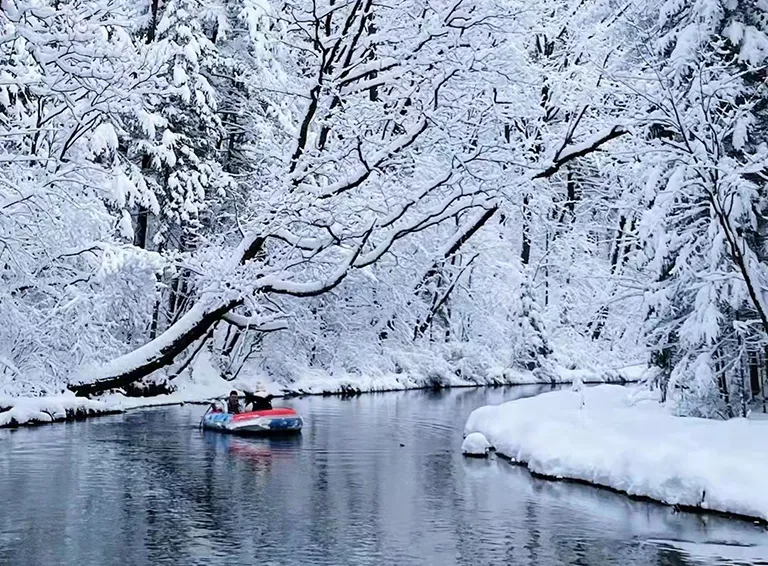 1761815399729813.png 748cef28-4bd0-4211-b5a1-ff23f9ea0b86.png