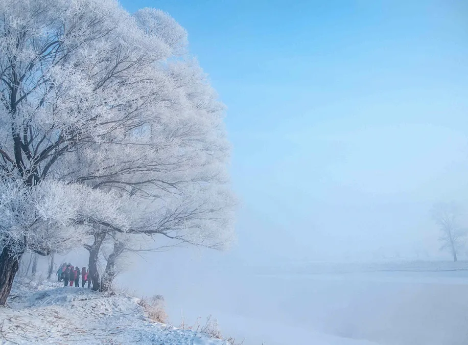 1761815413975001.png 7489c479-c39a-419c-8bd3-7a3f24f399da.png