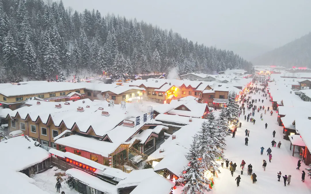 1761817202498874.png d204d4ee-2365-4fd8-b8e6-1383ddca3efb.png