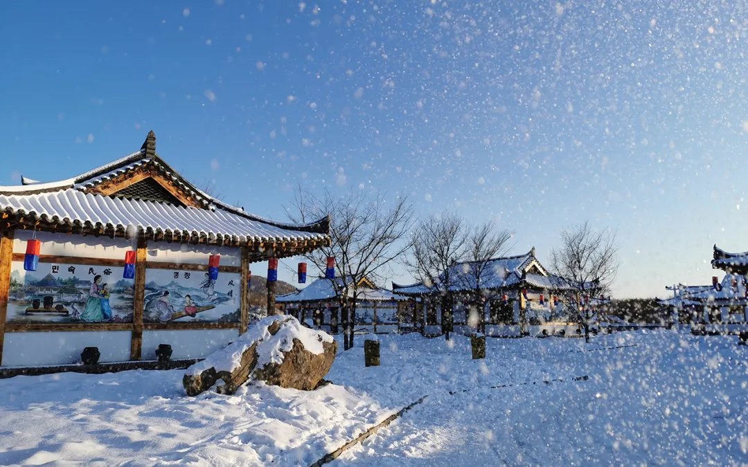 1761817234945289.png fdac7edb-97d1-4f16-9425-e1916bcc4a36.png