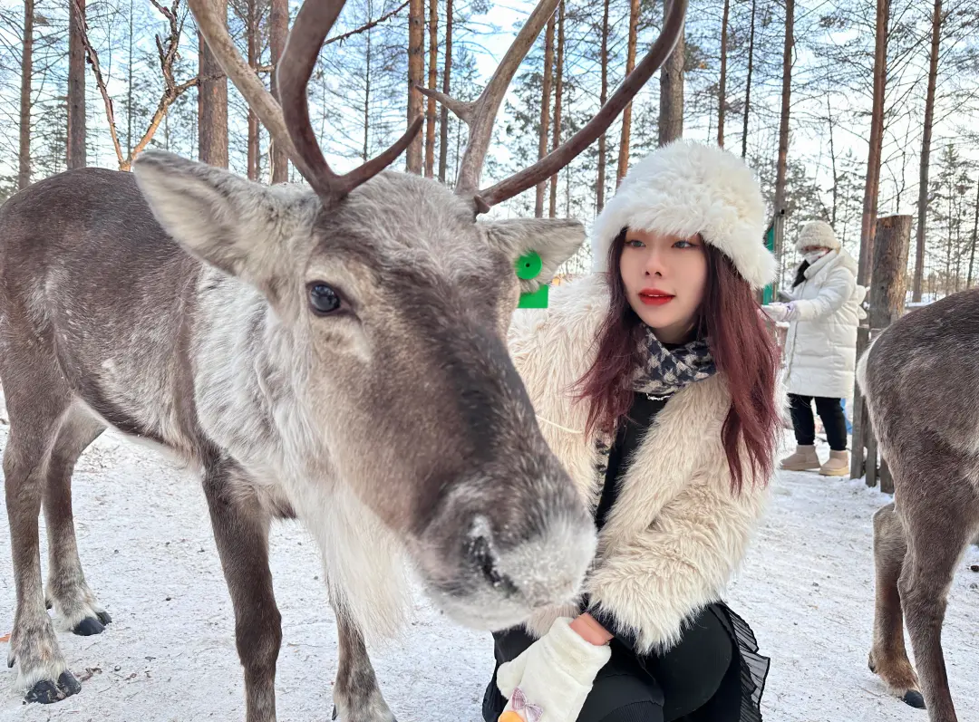 1762223422537198.png 36fde037-61e3-4d81-8976-e4237fa2e346.png