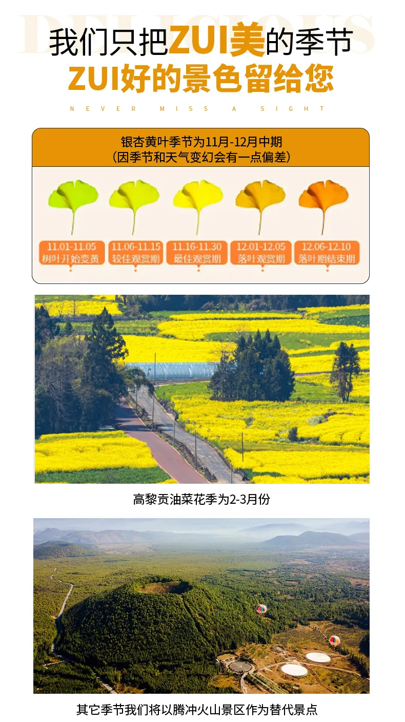 1762308396798418.png 7649525c-2cad-4de8-a4e4-bb9e27a6a136.png