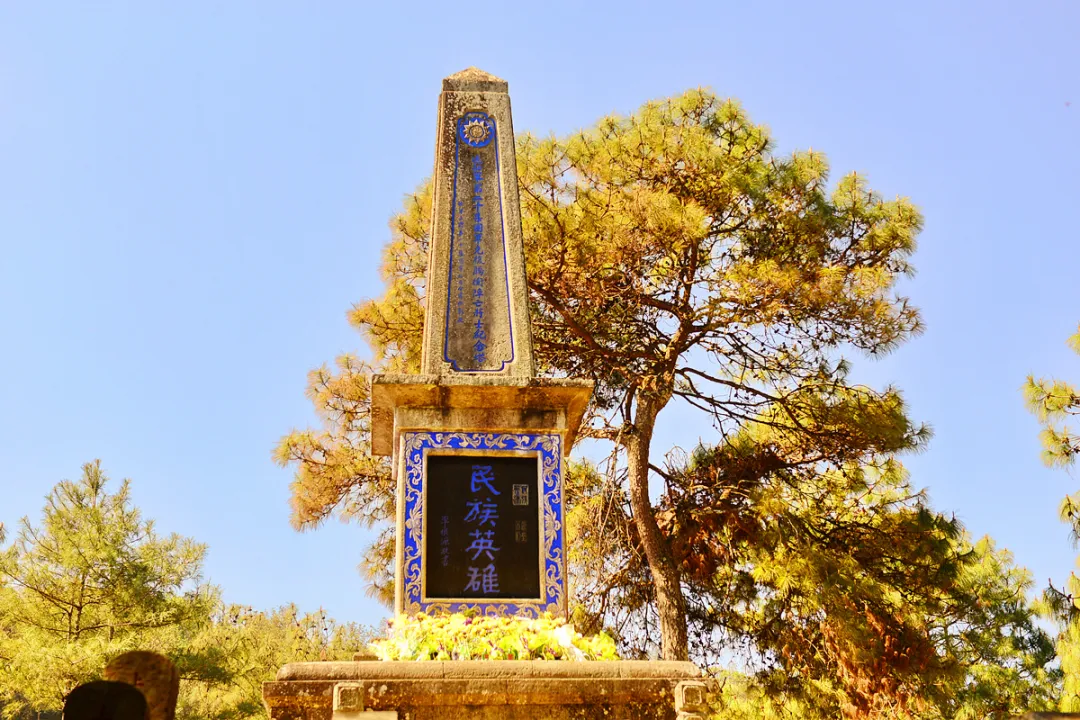 1762309034131663.png 9ff9ed56-2b2a-45d2-a828-0745f3e783c5.png