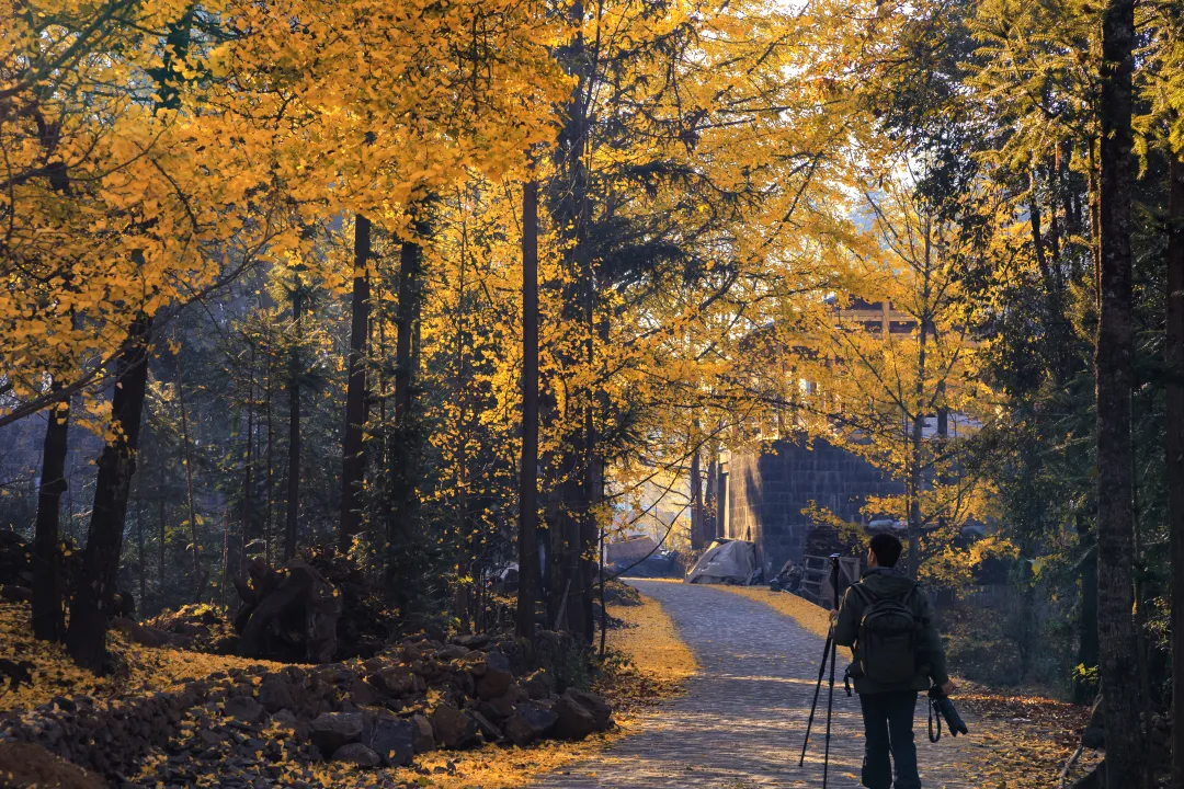 1762309075112040.png aed7ec56-f0a5-400a-ac4c-591733c8a45b.png