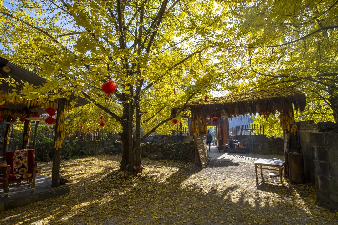 1762309092470423.png e5766b33-a805-4ed6-a931-25b24b7f222f.png