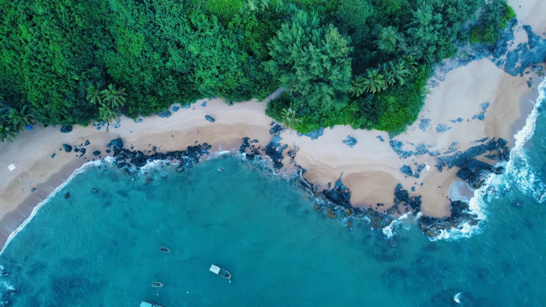 1762915013531407.png 2ed41ae2-27db-49bb-810a-7f2ab9869349.png