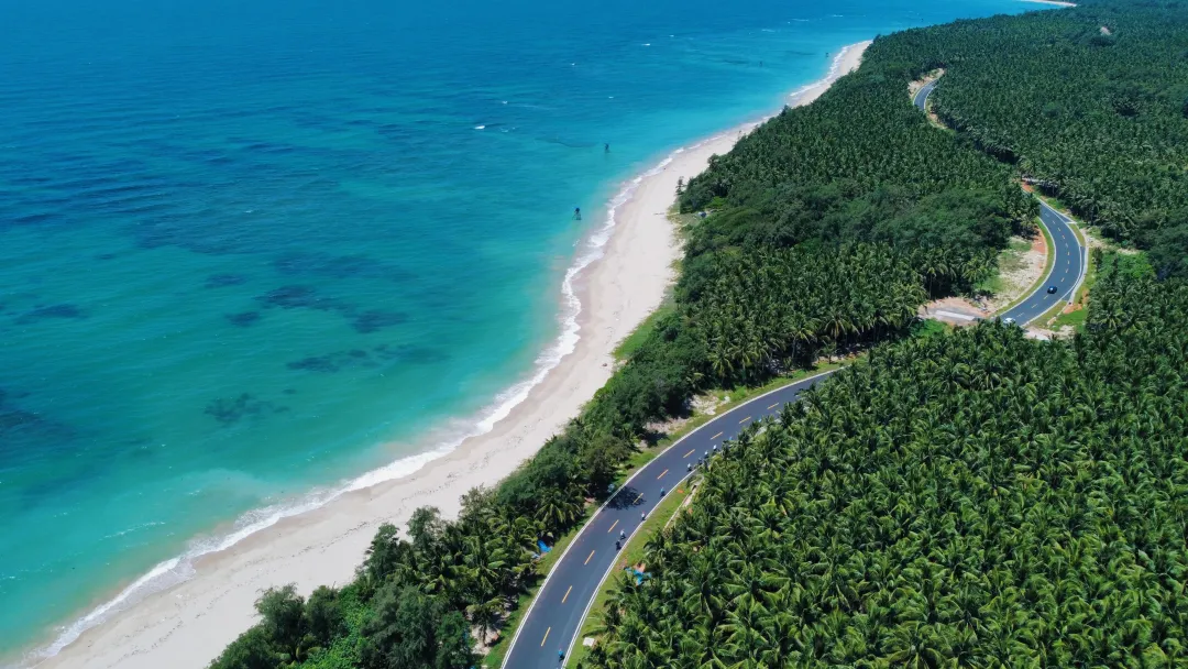 1762915018258059.png 0dbec65b-1fee-473f-8141-97079ce64901.png