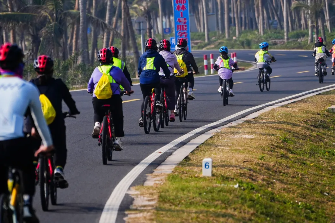 1762915061956420.png a1298866-4cd0-4fad-ae51-8d45ede85df0.png