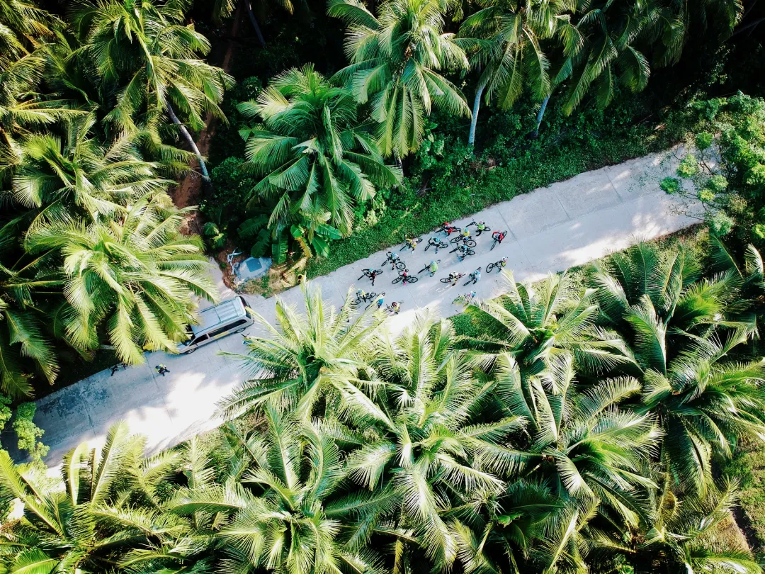 1762915247295359.png 73cfdfd6-991d-423e-bdea-a36e5f6a7e24.png