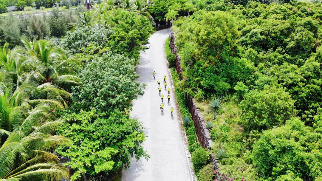 1762916020827141.png 94b217a9-a31b-4ac9-b45d-e2fd224a8b36.png