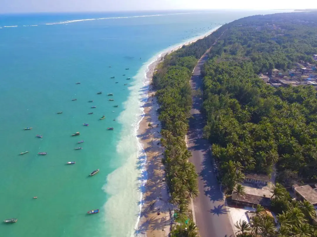 1762916237453285.png 39dfaf9e-715c-45f8-aae1-f40dc44ebf23.png