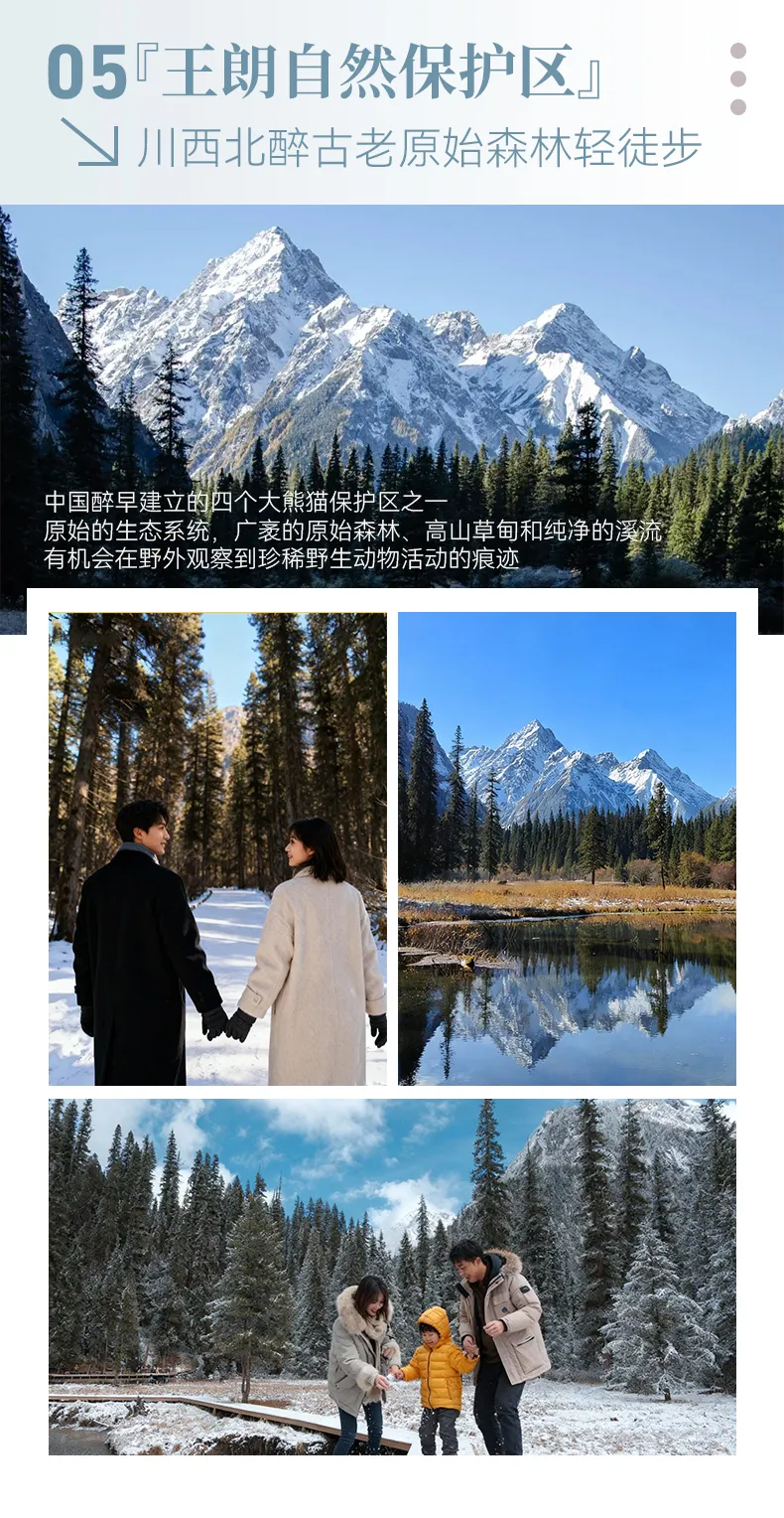 1763024364625543.png image.png