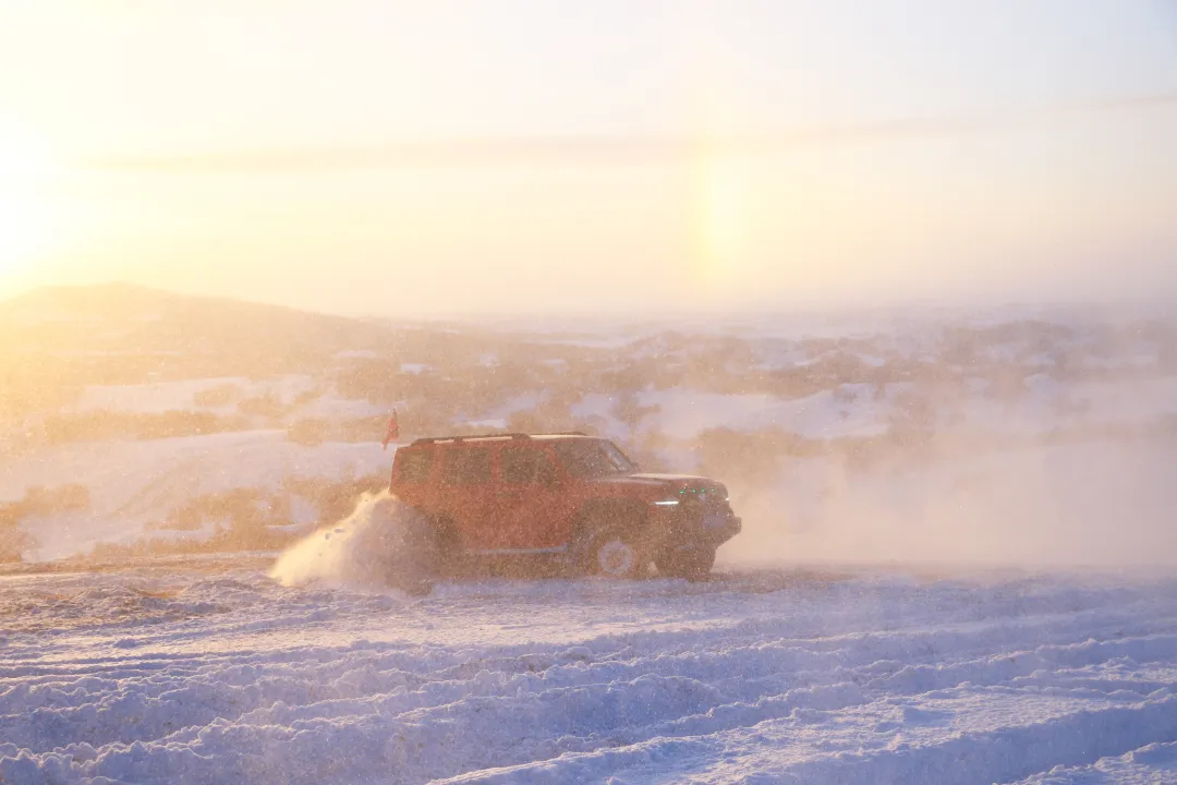 1763112121396806.png 03a74653-5365-4e19-ac3f-d4aaffa15113.png