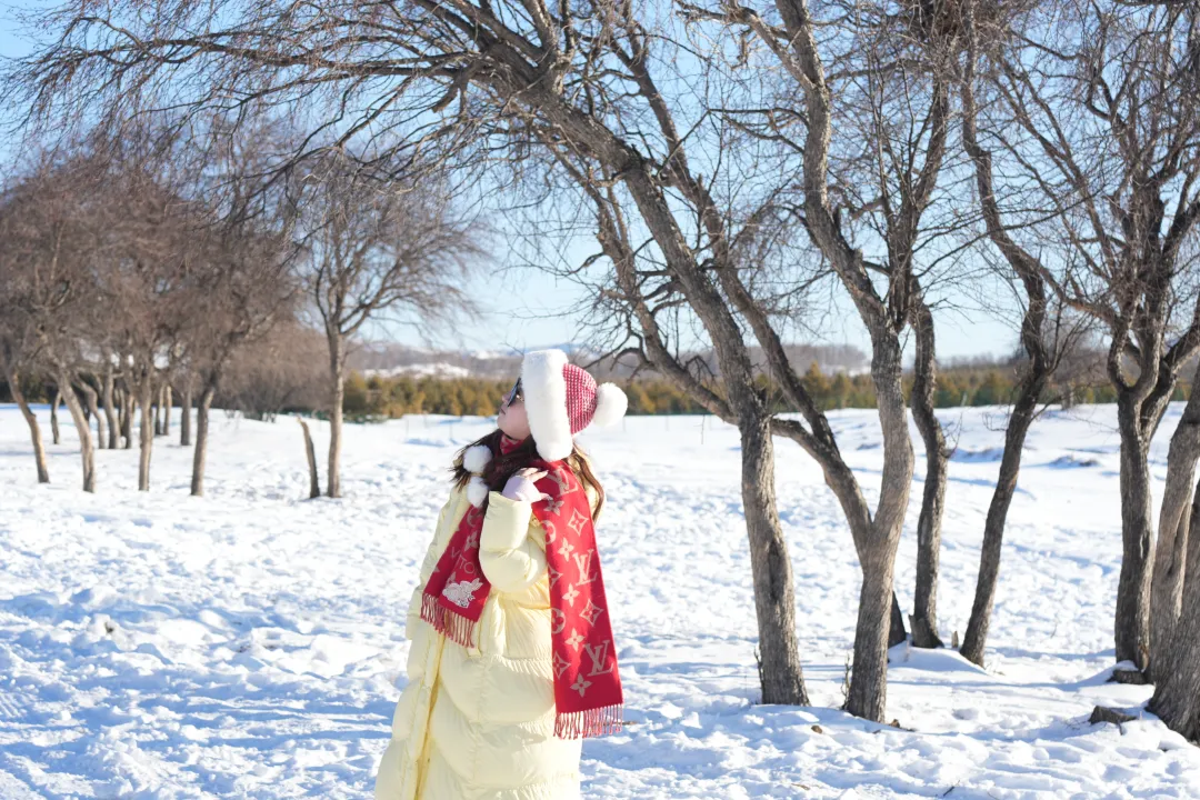 1763112134229604.png a4803a59-2aa0-4699-bac3-b4370969cbff.png